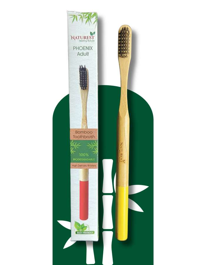 Phoenix Bamboo Toothbrush for Adults – Dual Color Base | Eco-Friendly & Biodegradable