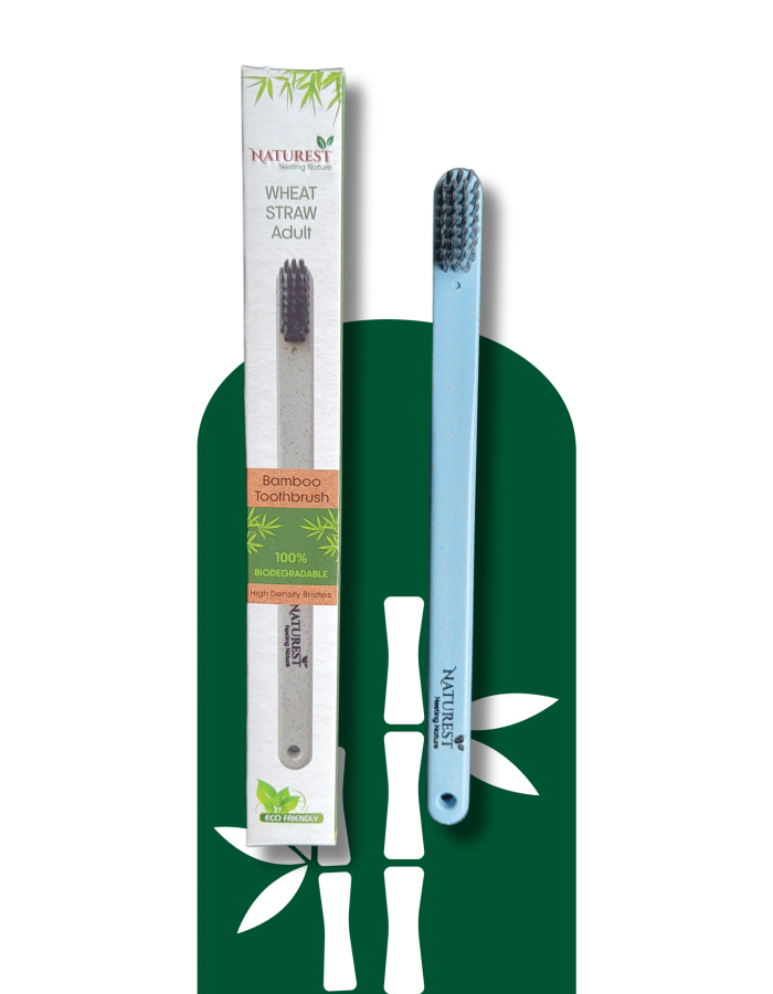 Naturest Wheat Straw Toothbrush – Adult Soft Blue