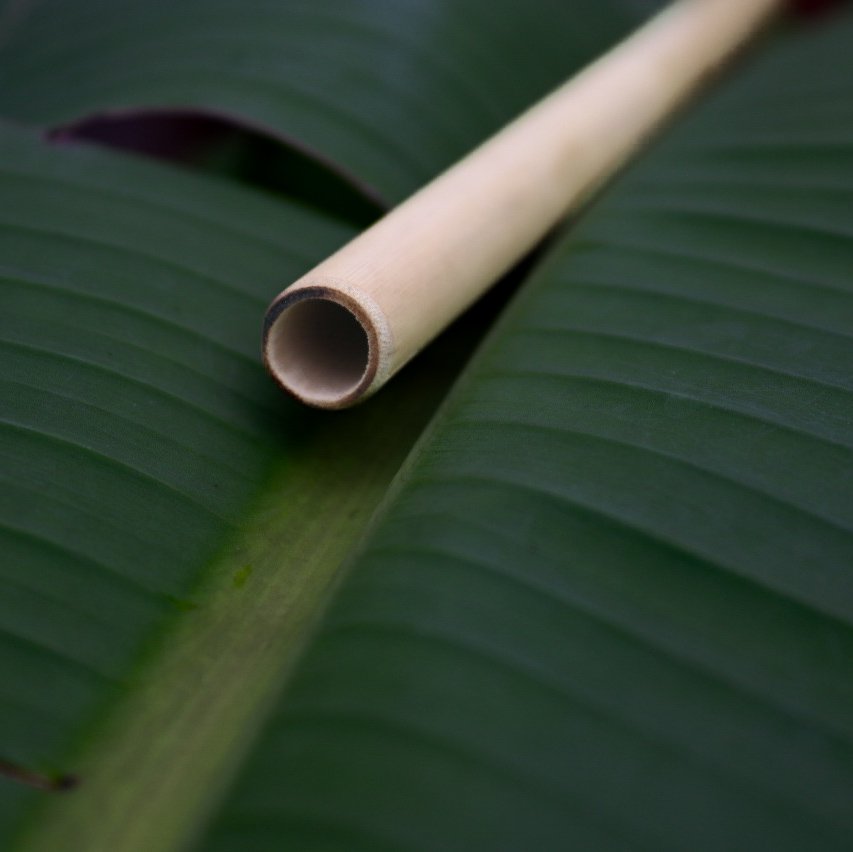 Naturest Reusable Bamboo Straw – Eco-Friendly, Natural & Chemical-Free | Pack of 8 - Image 2