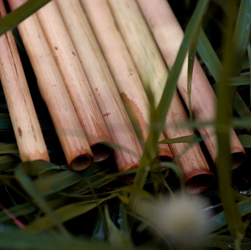 Naturest Reusable Bamboo Straw – Eco-Friendly, Natural & Chemical-Free | Pack of 8 - Image 5